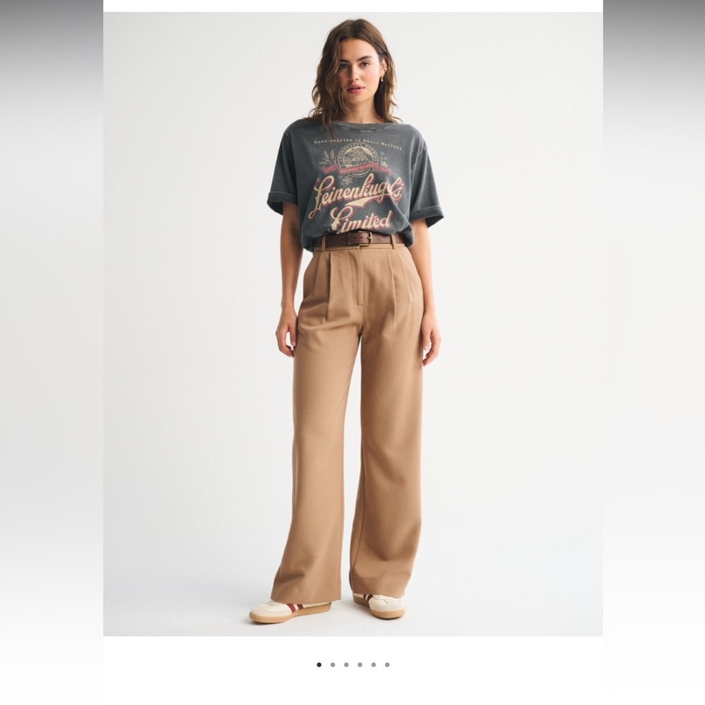 Abercrombie Women’s Sloane Pant Brown Sz 31 Regular